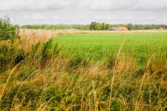 raesfeldbosch (10).jpg